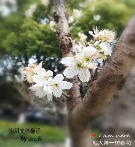 //zhiboxingai.net/__local/0/57/0F/CA3A8440F354120DF2A42439B9B_9D94EB90_712D.jpg