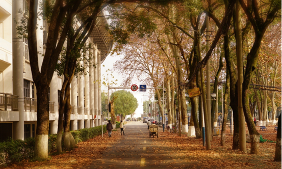 说明: //rcb.zhiboxingai.net/__local/F/DC/AD/26AAF68465C39908E951504ECA2_E70C2E5D_119062.png